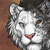 Tigon Broken Piebald